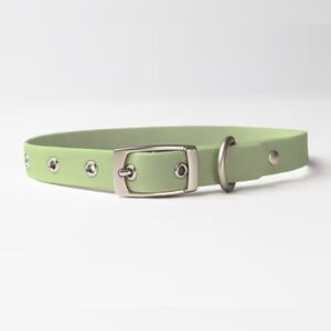 Diggs light green Waterproof Dog Collar - Medium